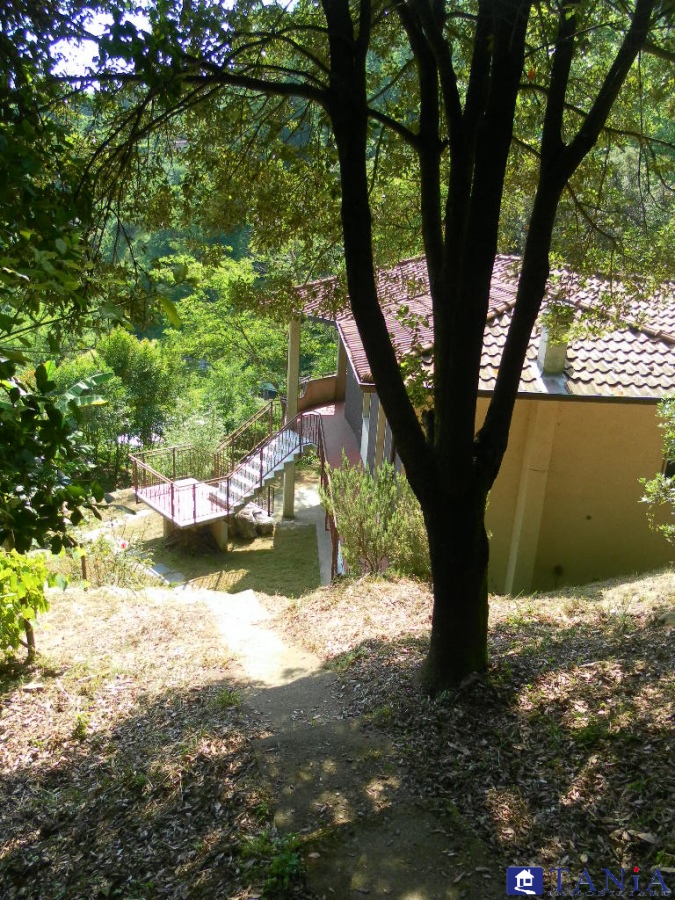 Immagine 6 di Casa indipendente in vendita  a Carrara