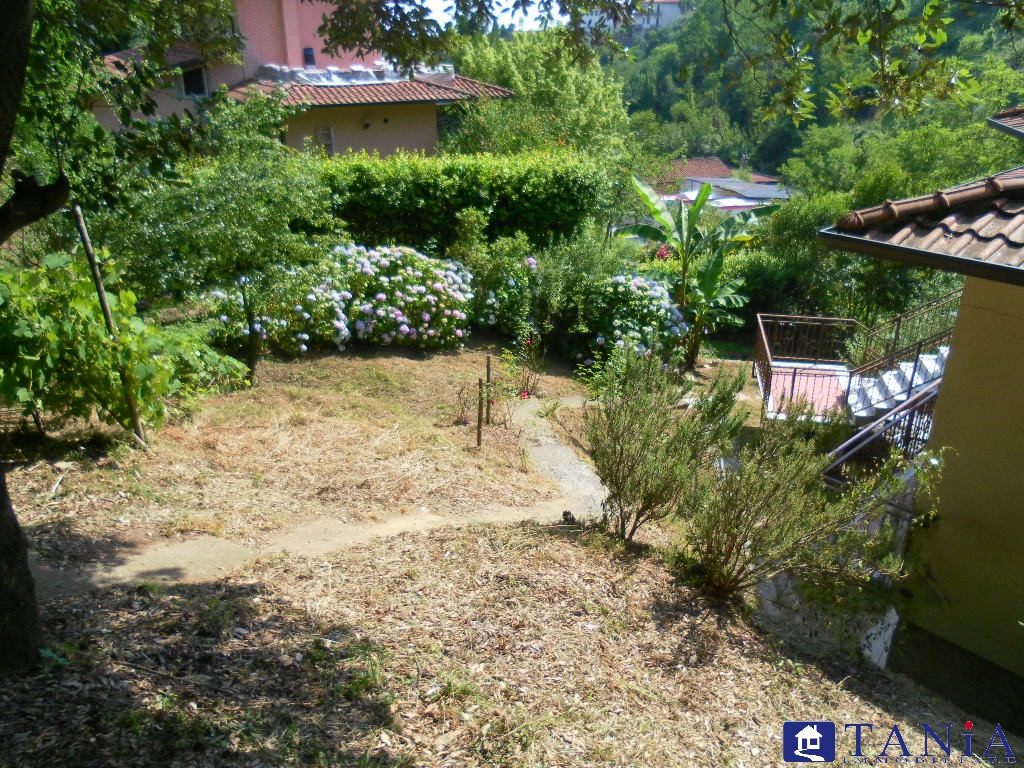 Immagine 4 di Casa indipendente in vendita  a Carrara