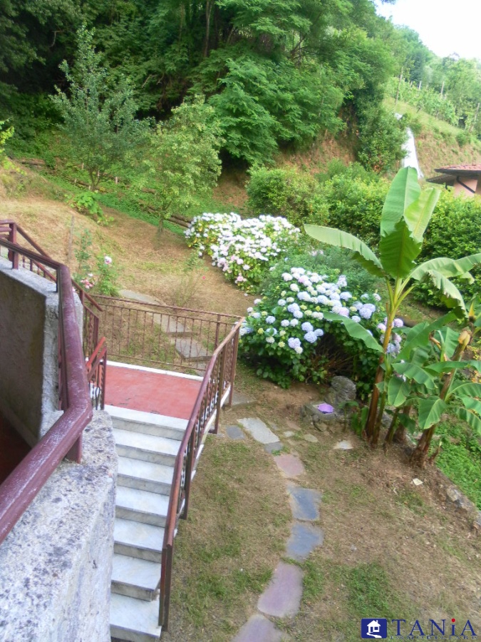 Immagine 5 di Casa indipendente in vendita  a Carrara