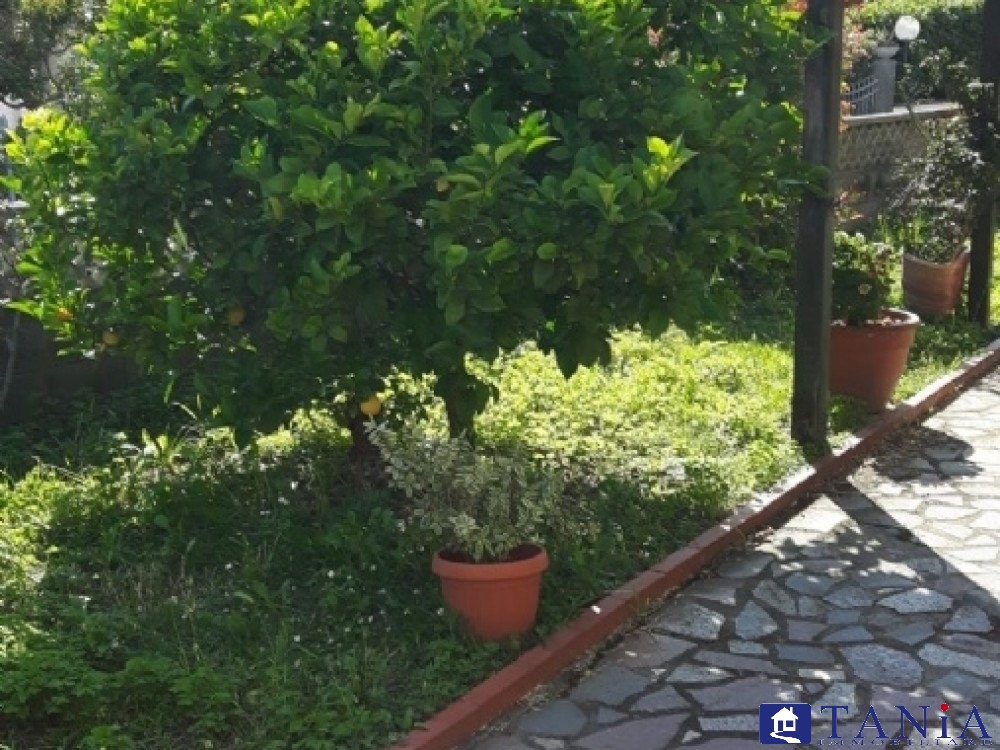 Immagine 4 di Casa indipendente in vendita  a Carrara