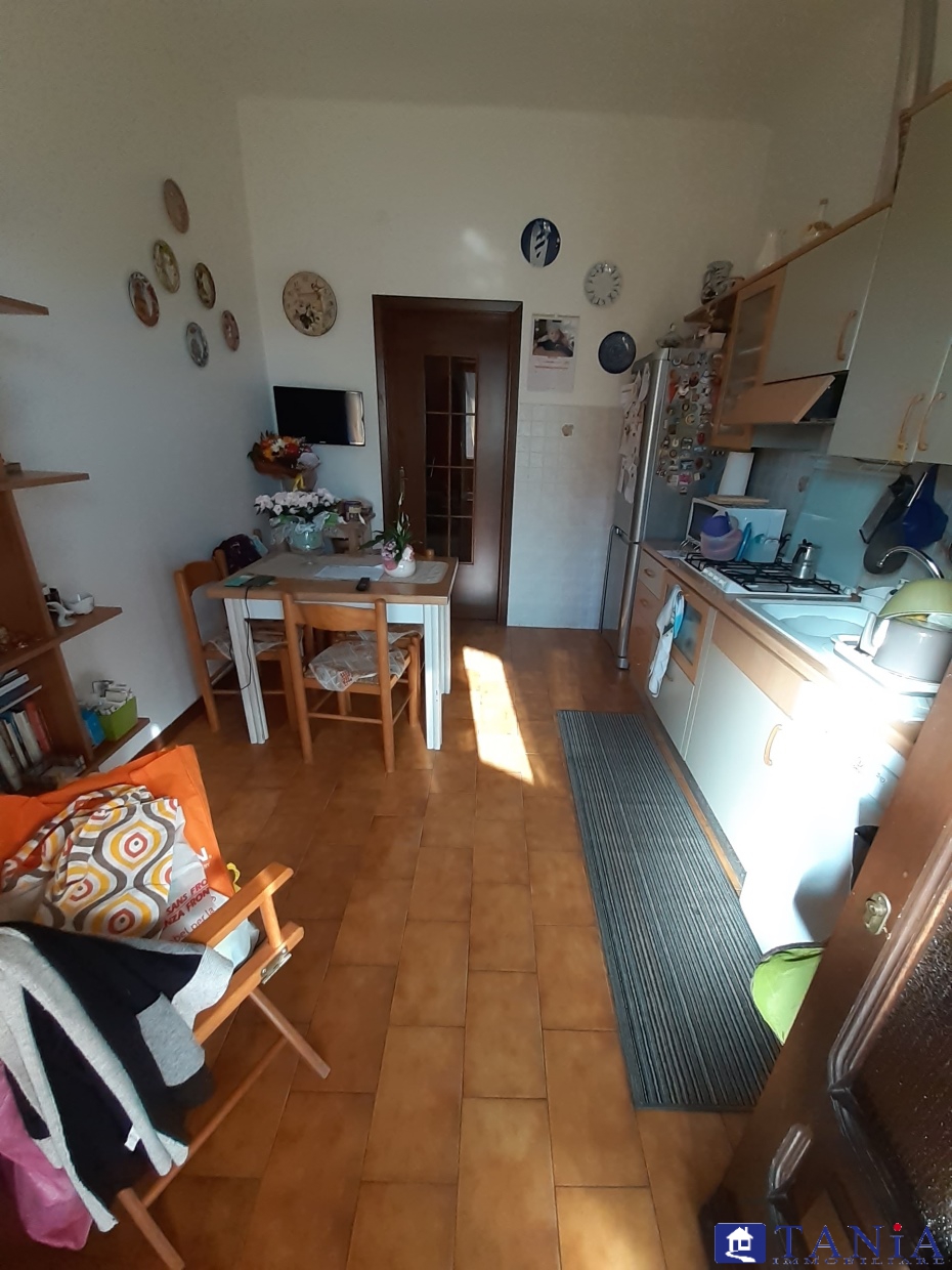 Immagine 9 di Casa indipendente in vendita  a Carrara