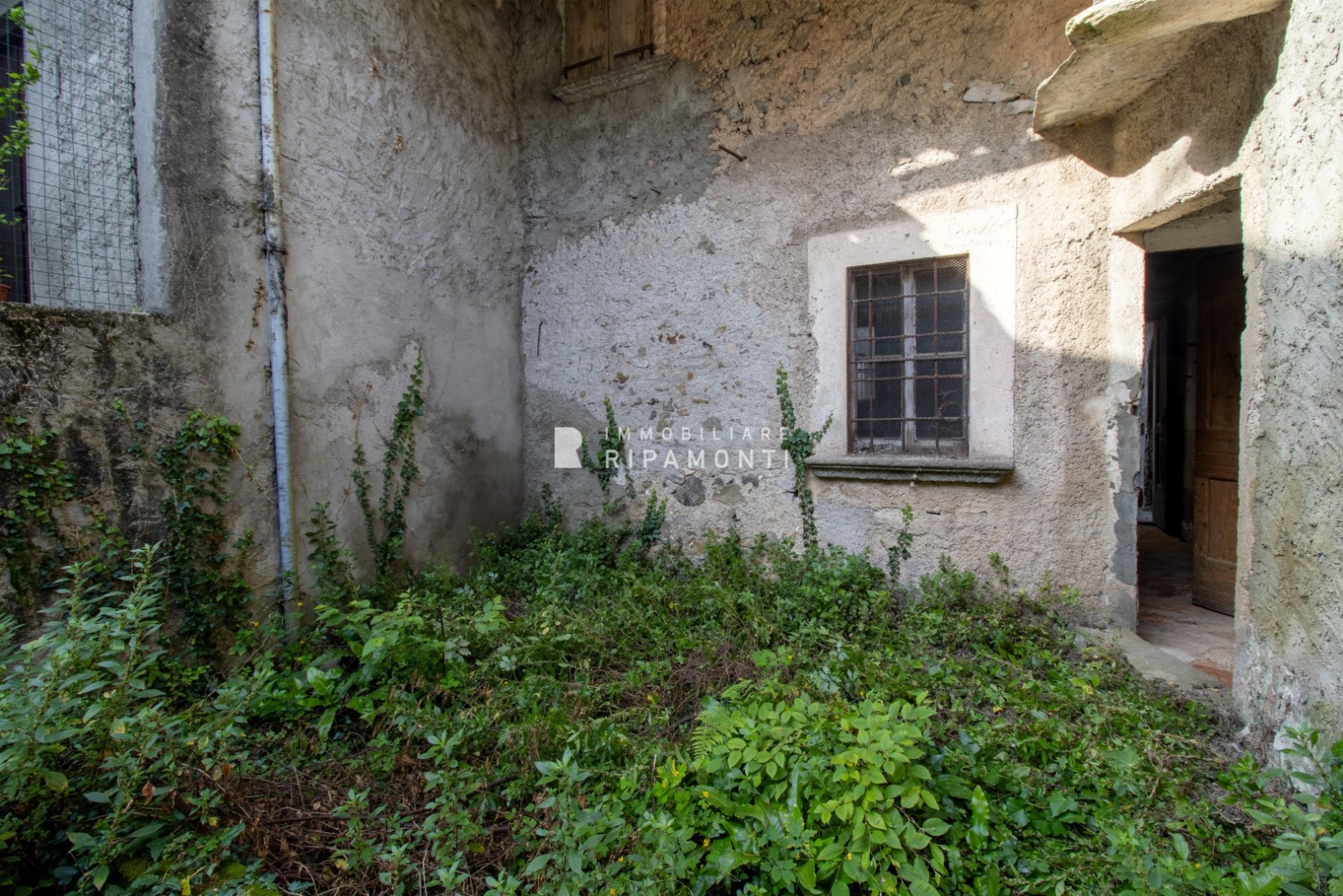 Immagine 10 di Rustico / casale in vendita  1 a Abbadia Lariana