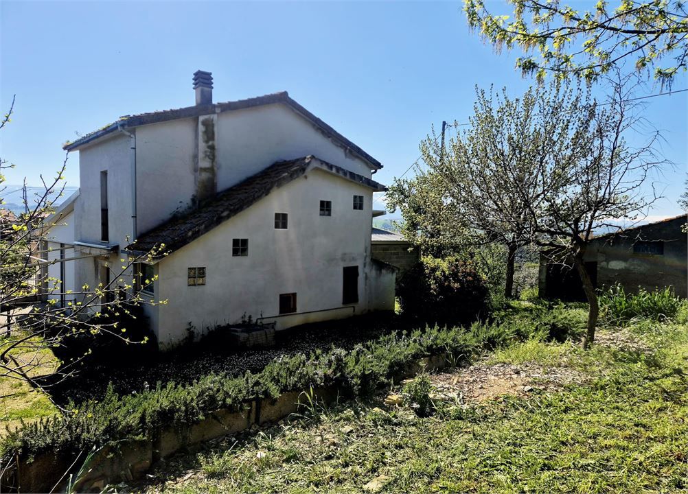 Foto annuncio 3