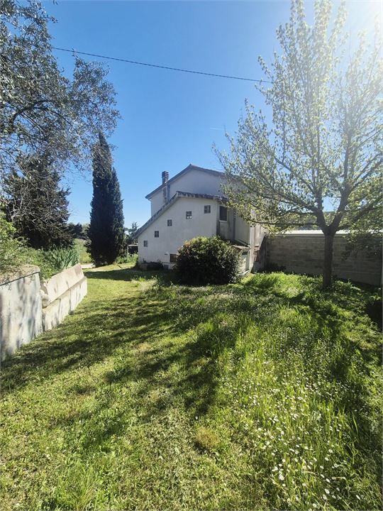 Foto annuncio 4