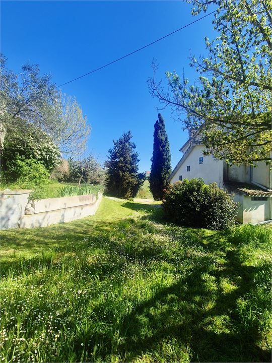 Foto annuncio 6