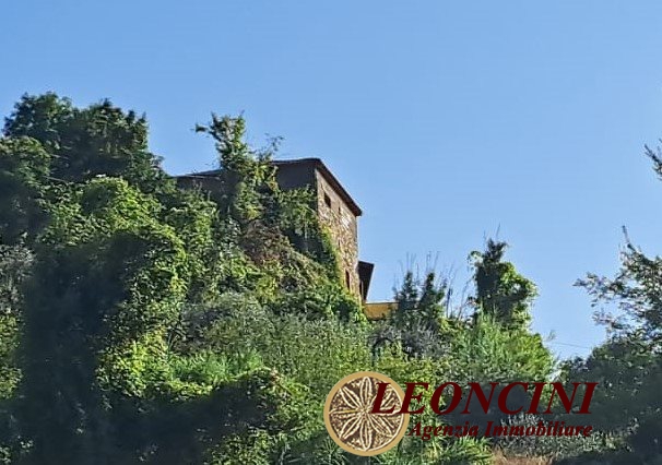 Immagine 3 di Rustico / casale in vendita  22 a Mulazzo