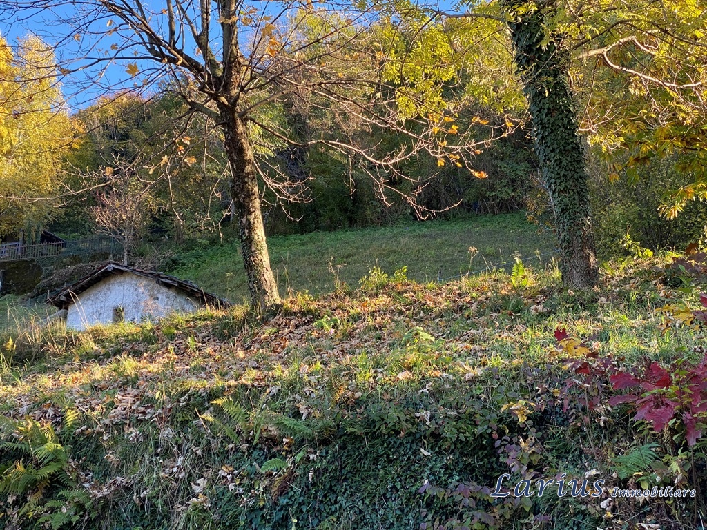Immagine 9 di Terreno edificabile in vendita  a Canzo