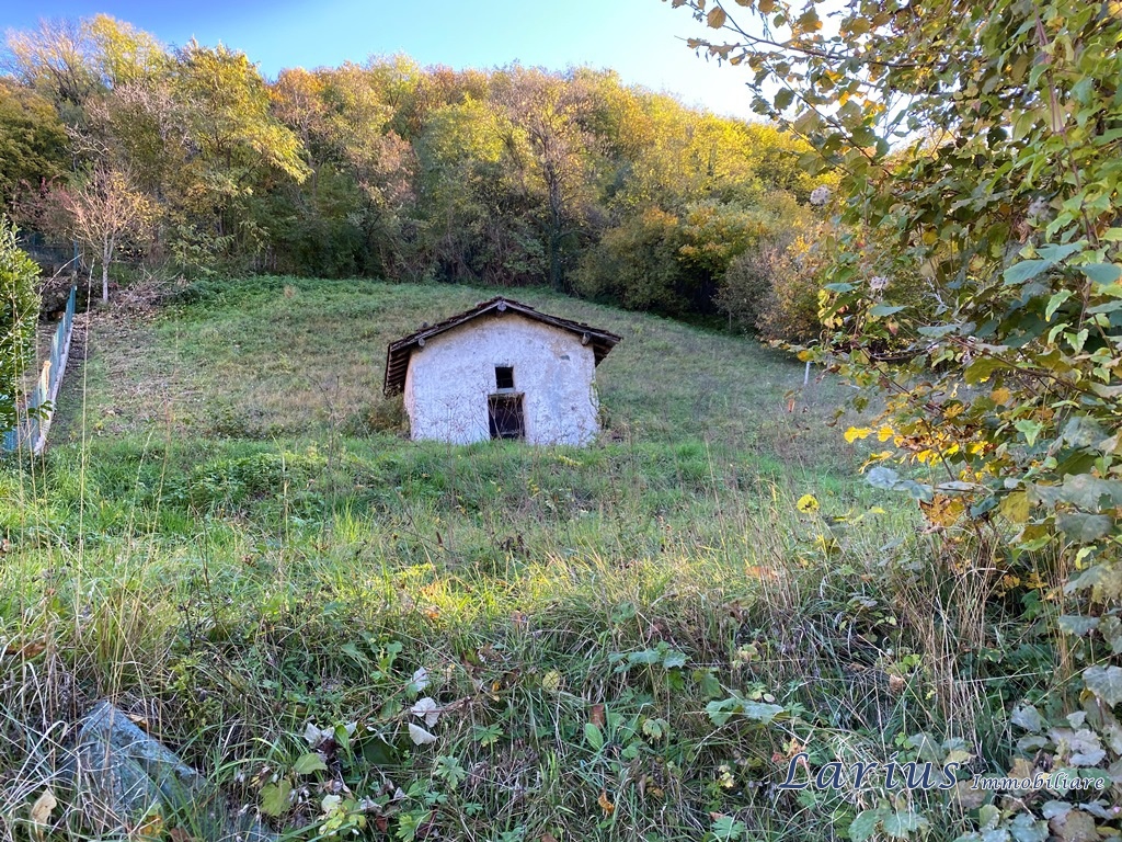 Immagine 7 di Terreno edificabile in vendita  a Canzo