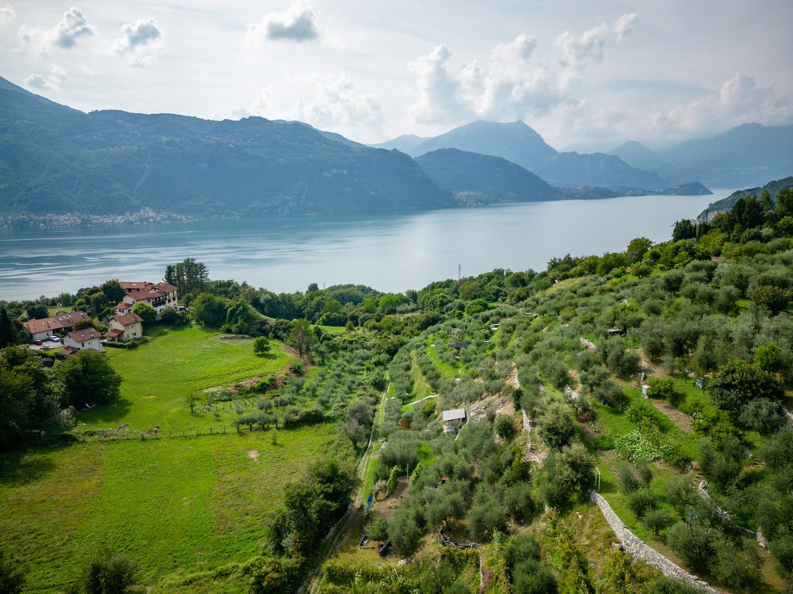 Immagine 8 di Terreno edificabile in vendita  a Mandello Del Lario