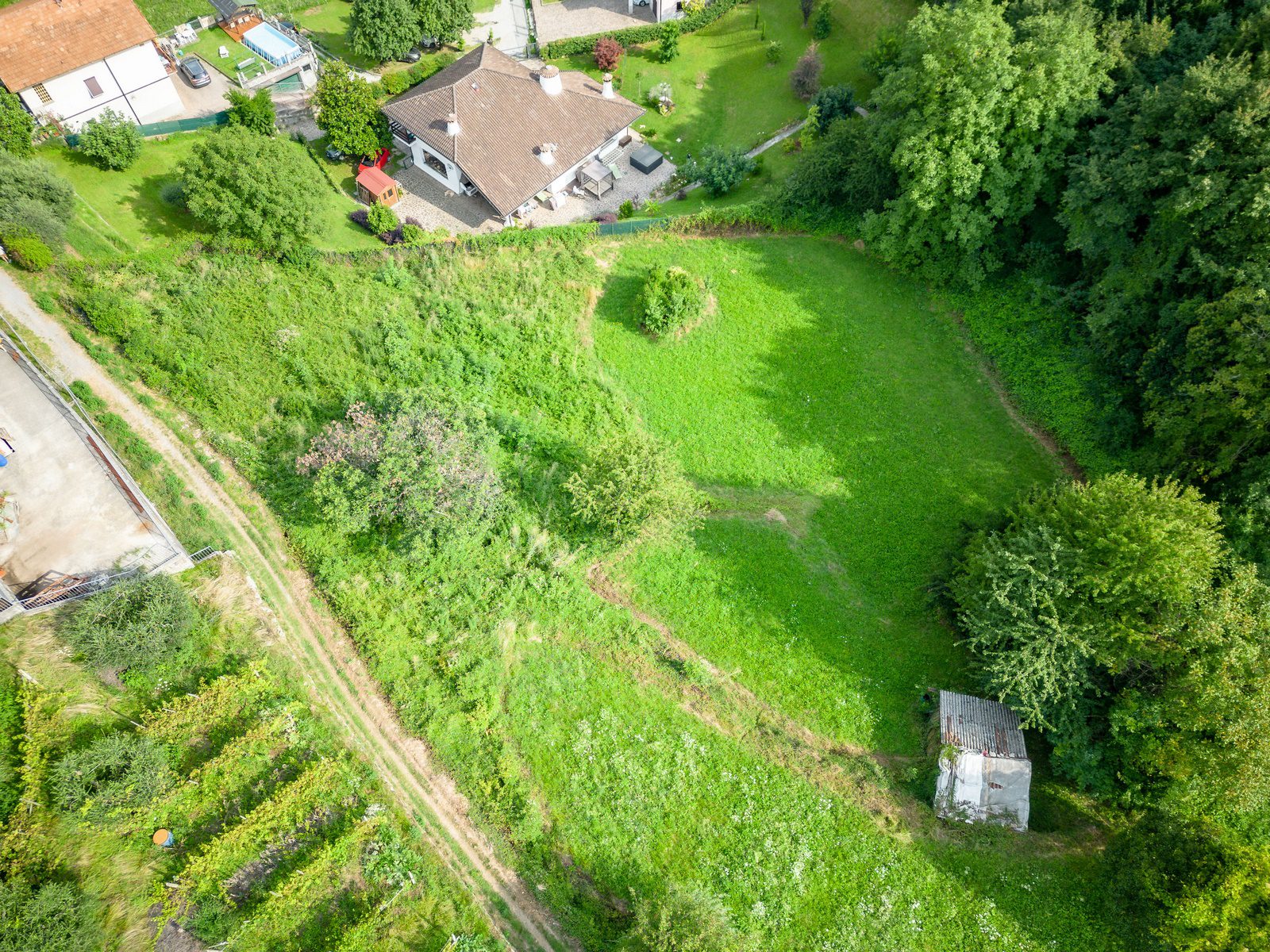 Immagine 3 di Terreno edificabile in vendita  a Mandello Del Lario