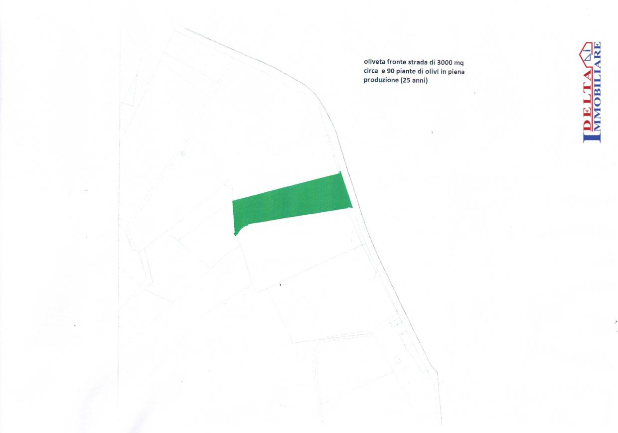 Immagine 2 di Terreno in vendita  a Rosignano Marittimo