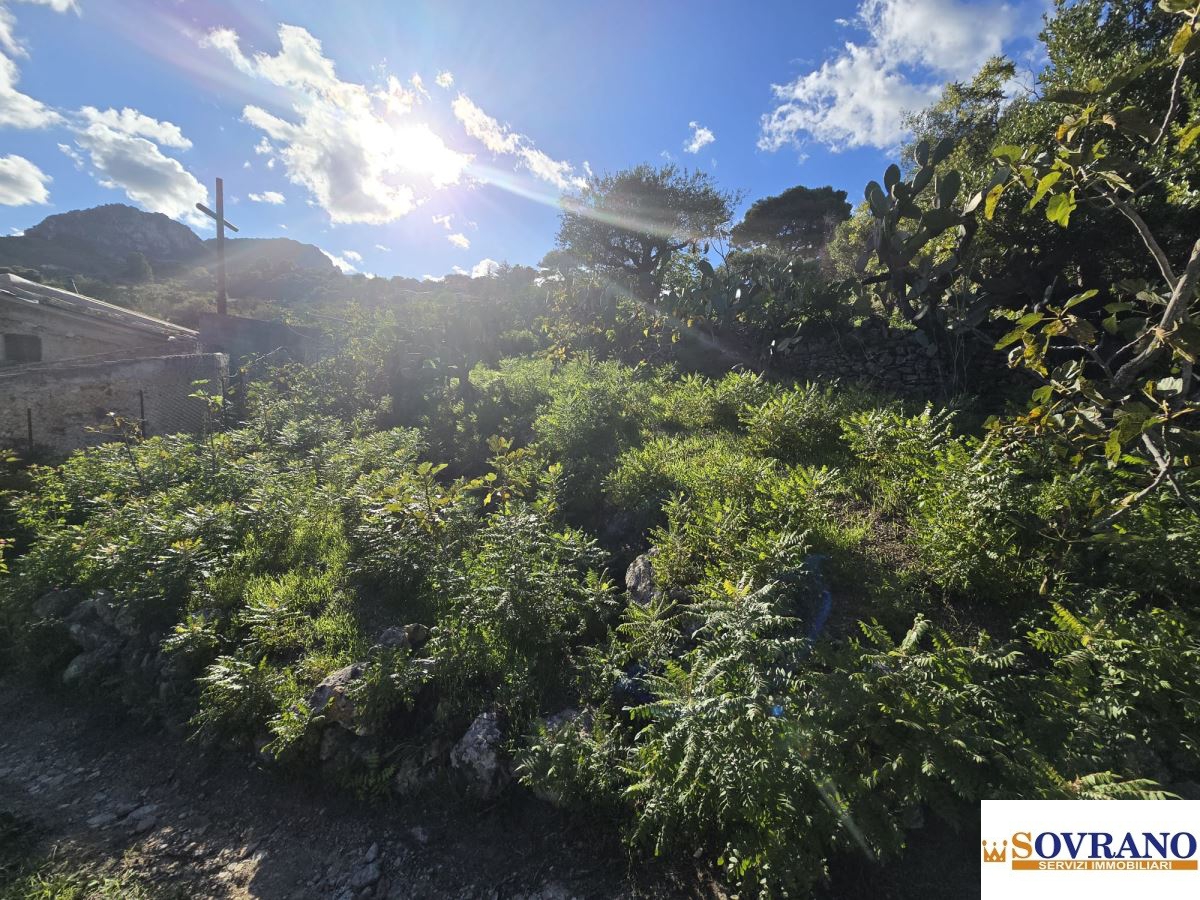 Immagine 4 di Terreno edificabile in vendita  a Monreale