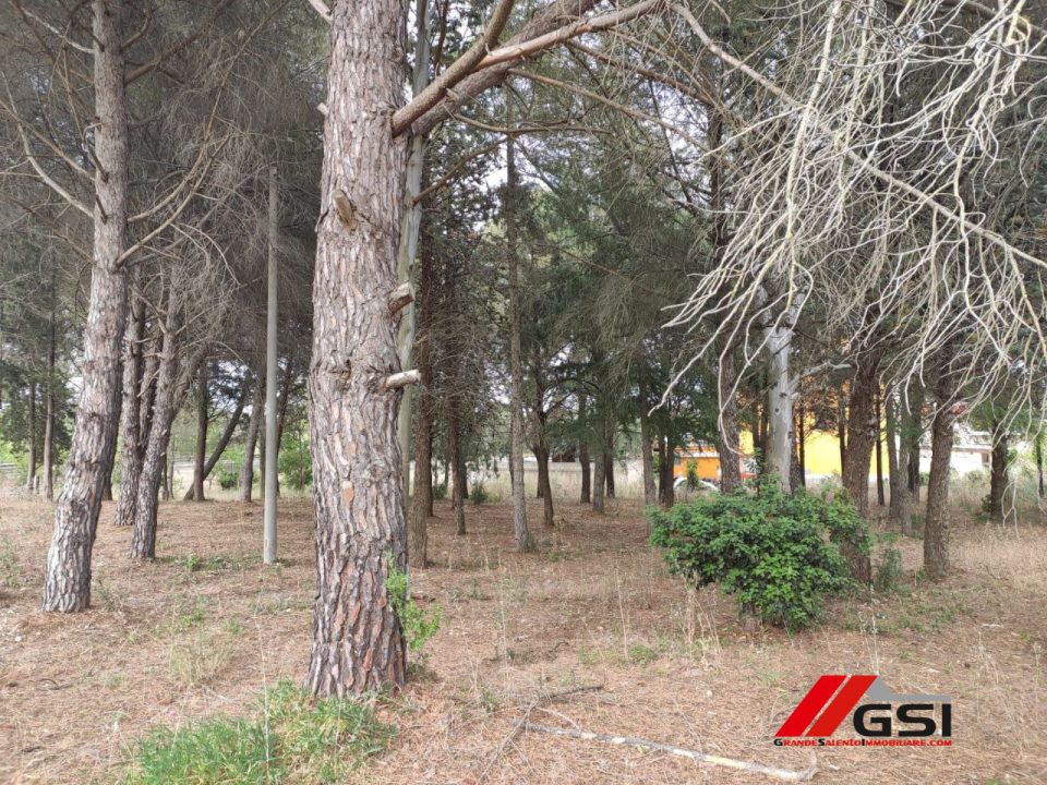 Immagine 5 di Villa in vendita  a Ceglie Messapico