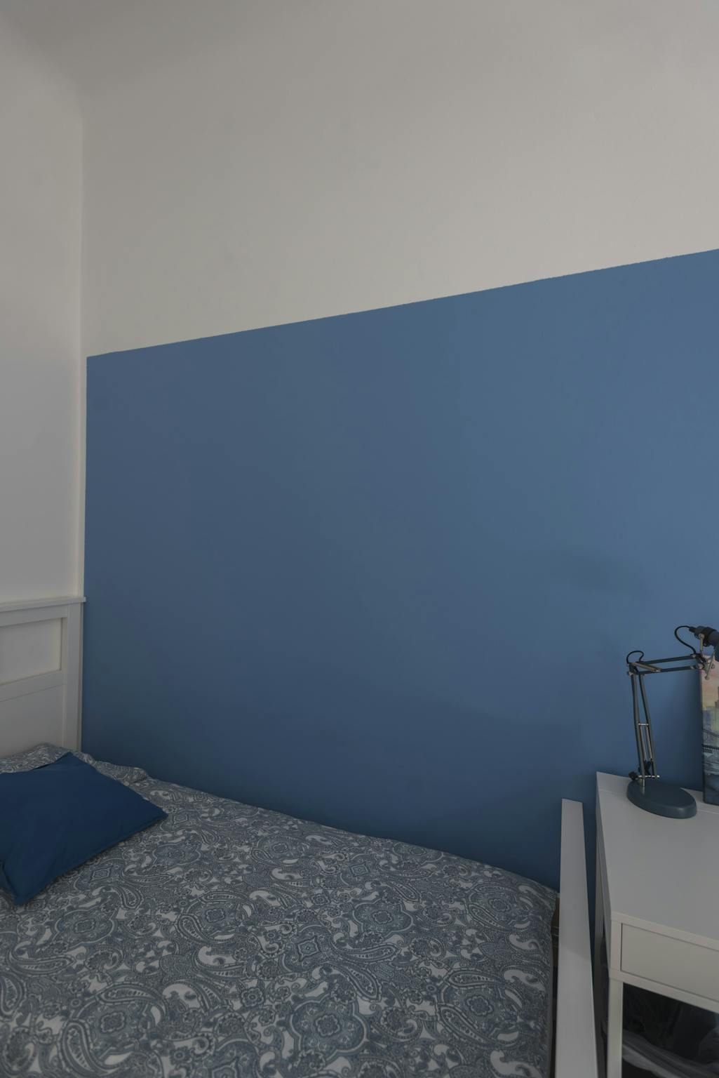 Foto annuncio 6
