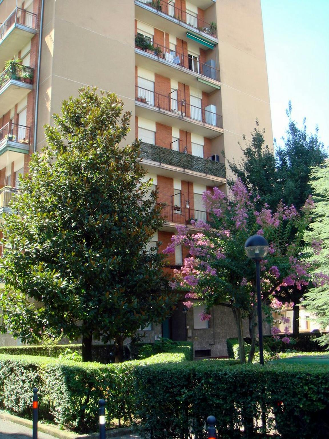 Foto annuncio 5
