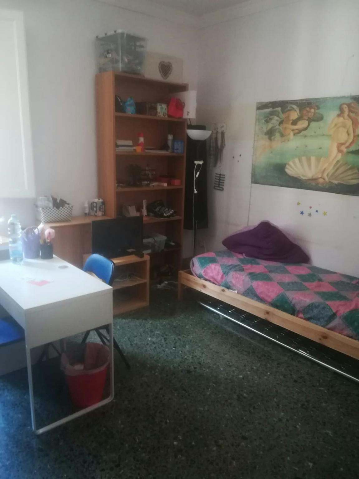Foto annuncio 10