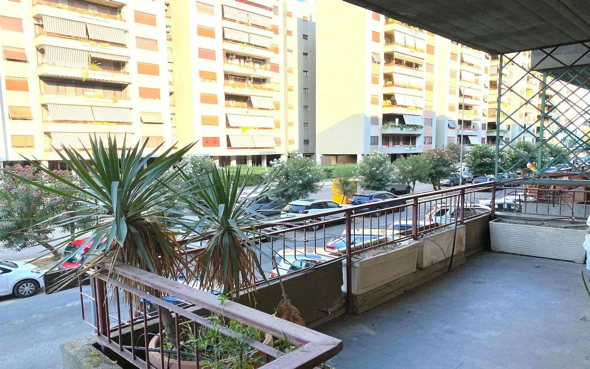 Foto annuncio 4