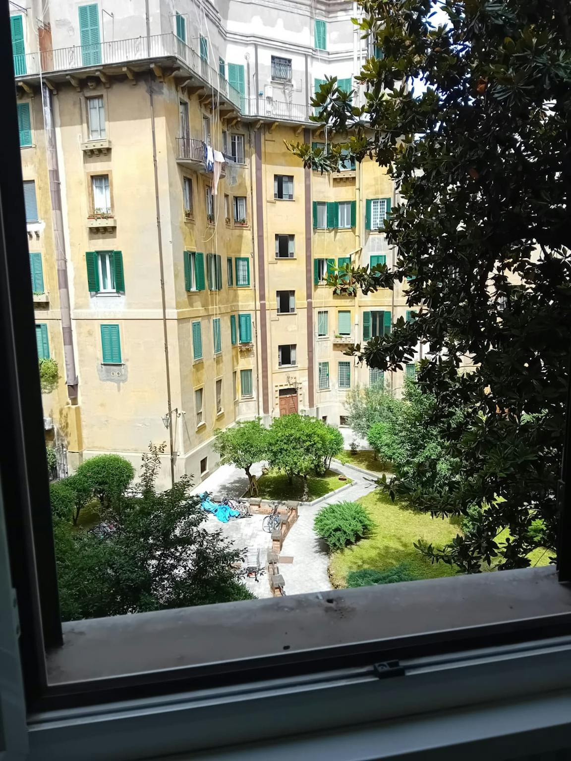 Foto annuncio 5