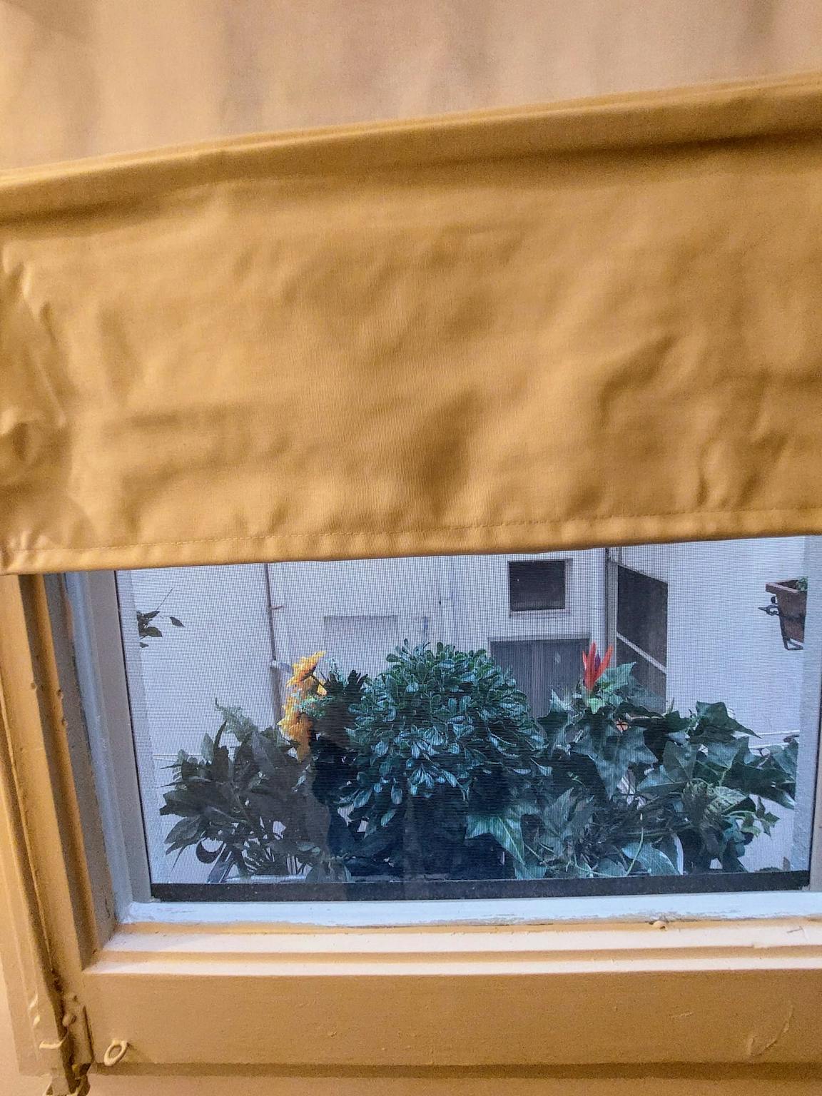 Foto annuncio 10