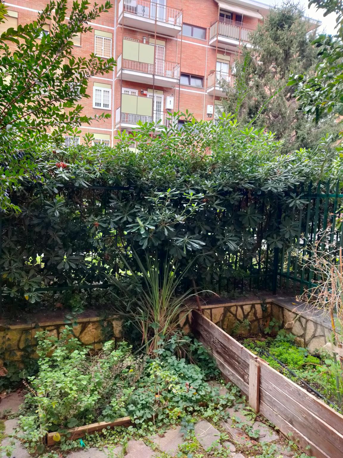Foto annuncio 7