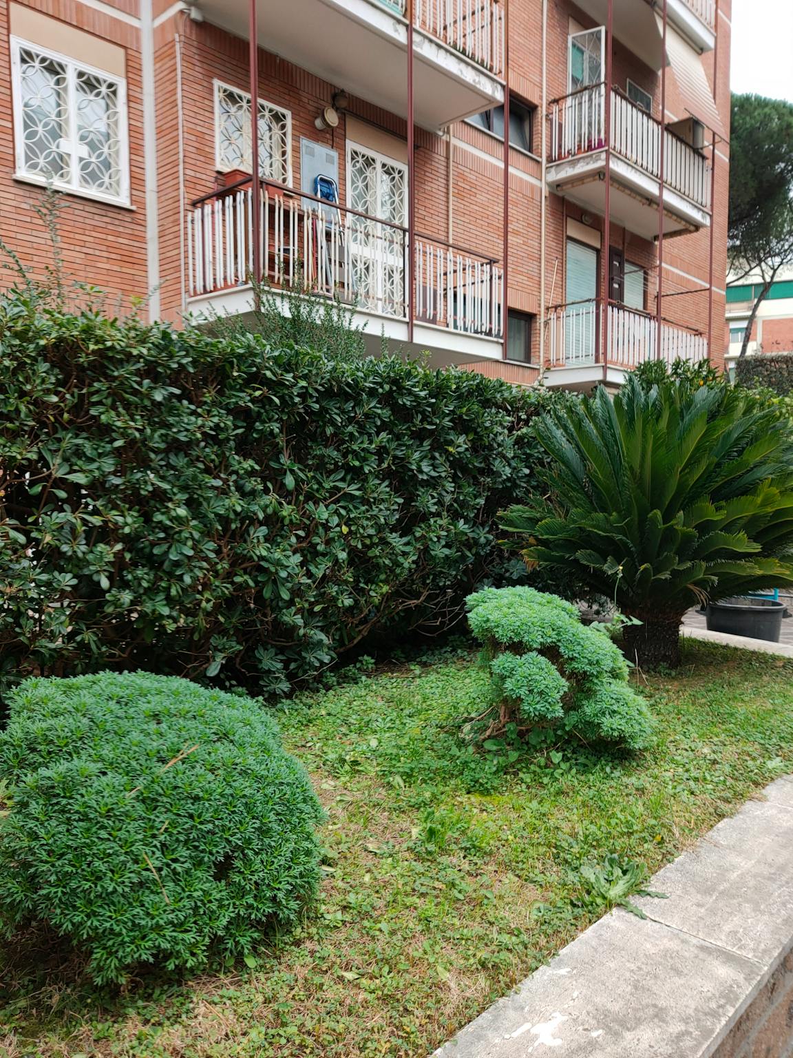 Foto annuncio 9