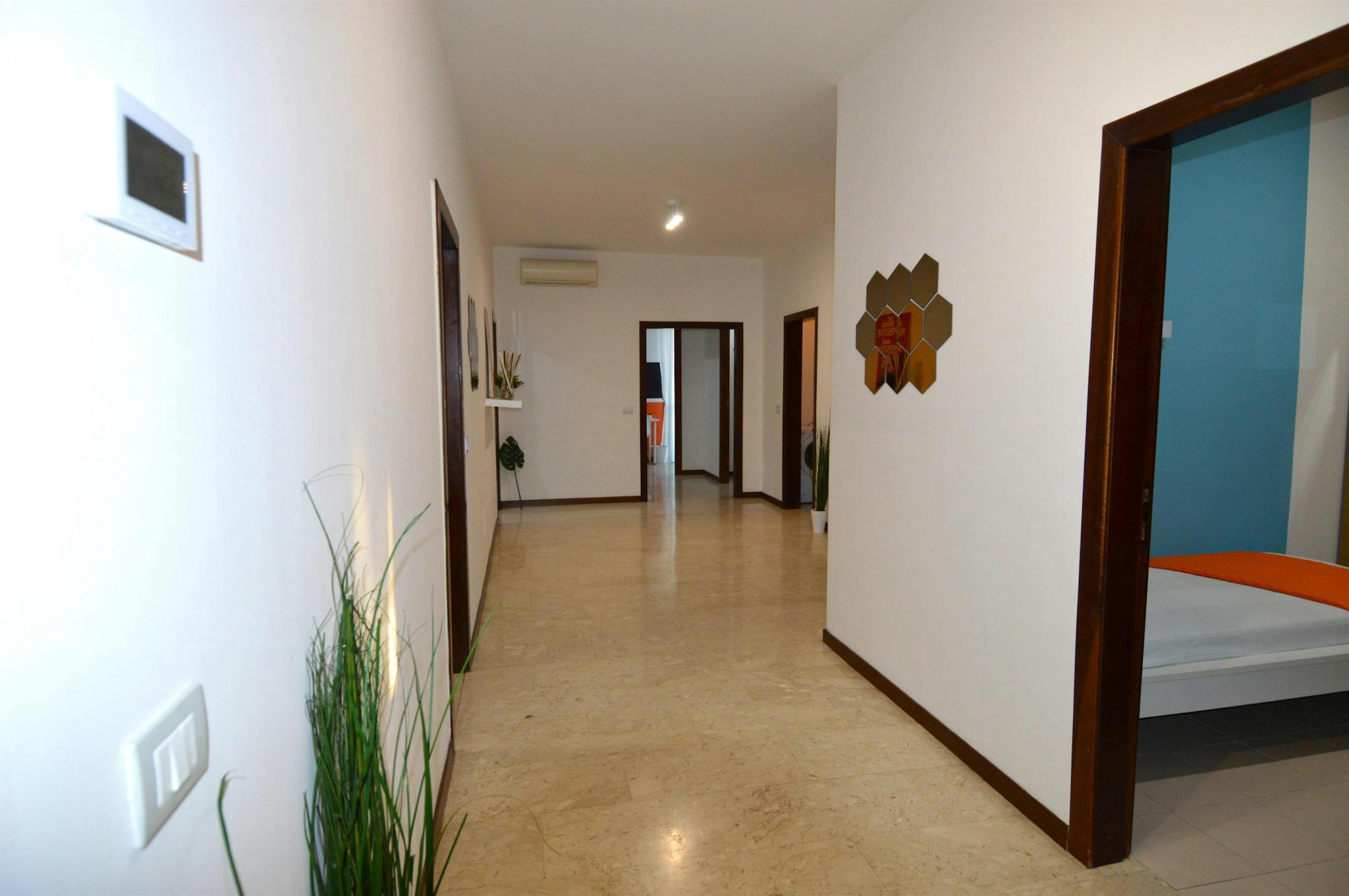 Foto annuncio 9
