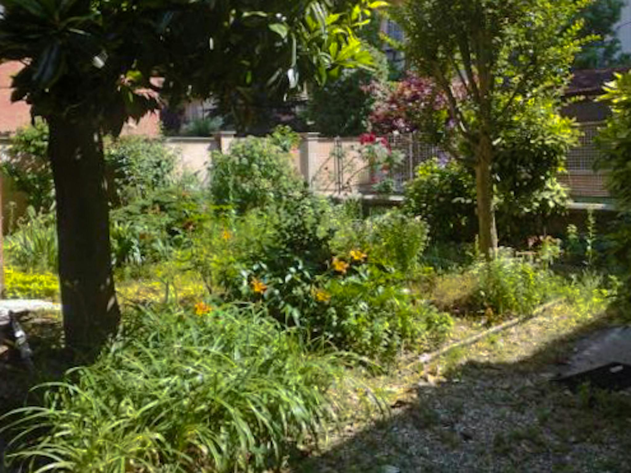 Immagine 7 di Camera in affitto  in Via Salvatore Farina a Torino