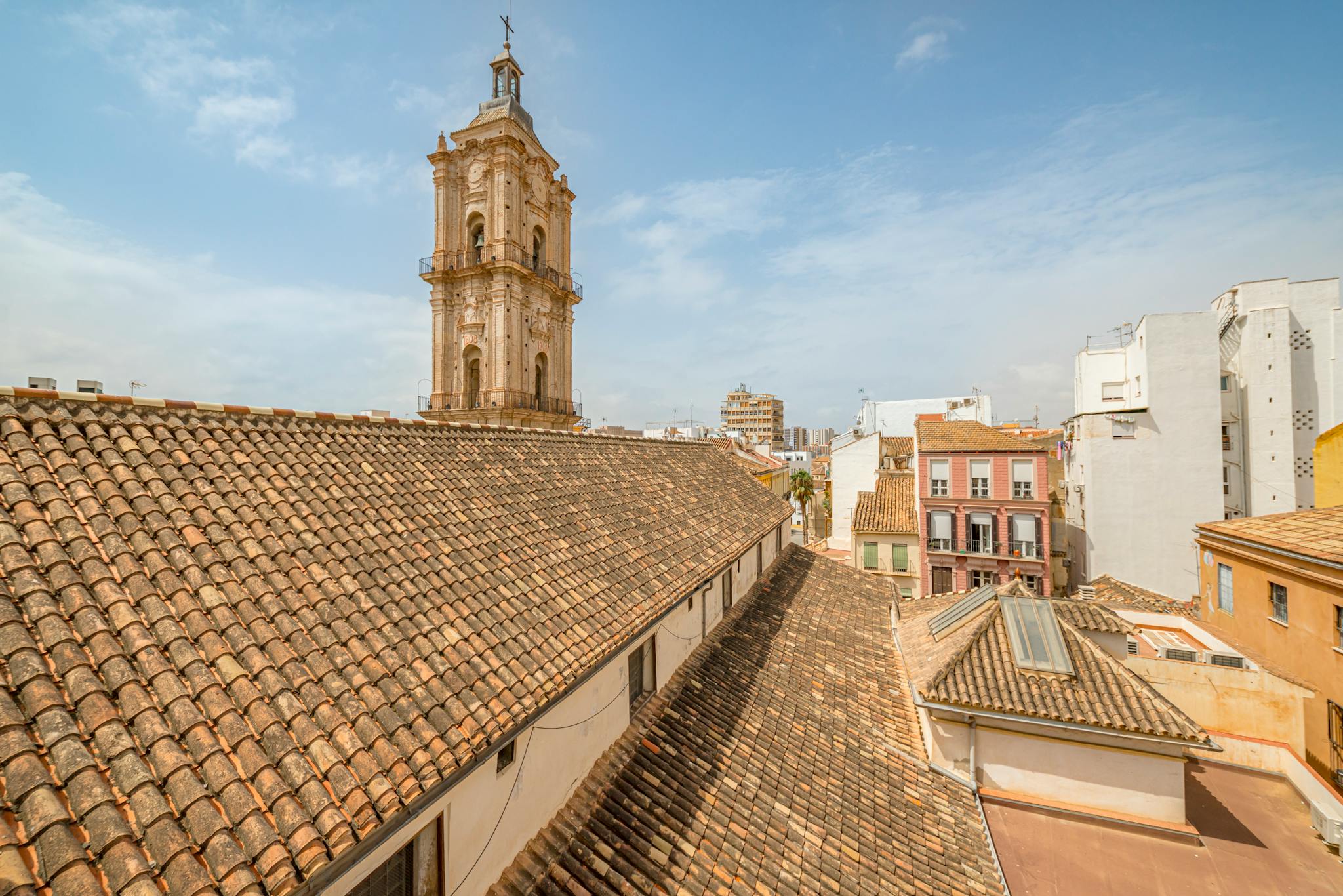 Foto annuncio 6