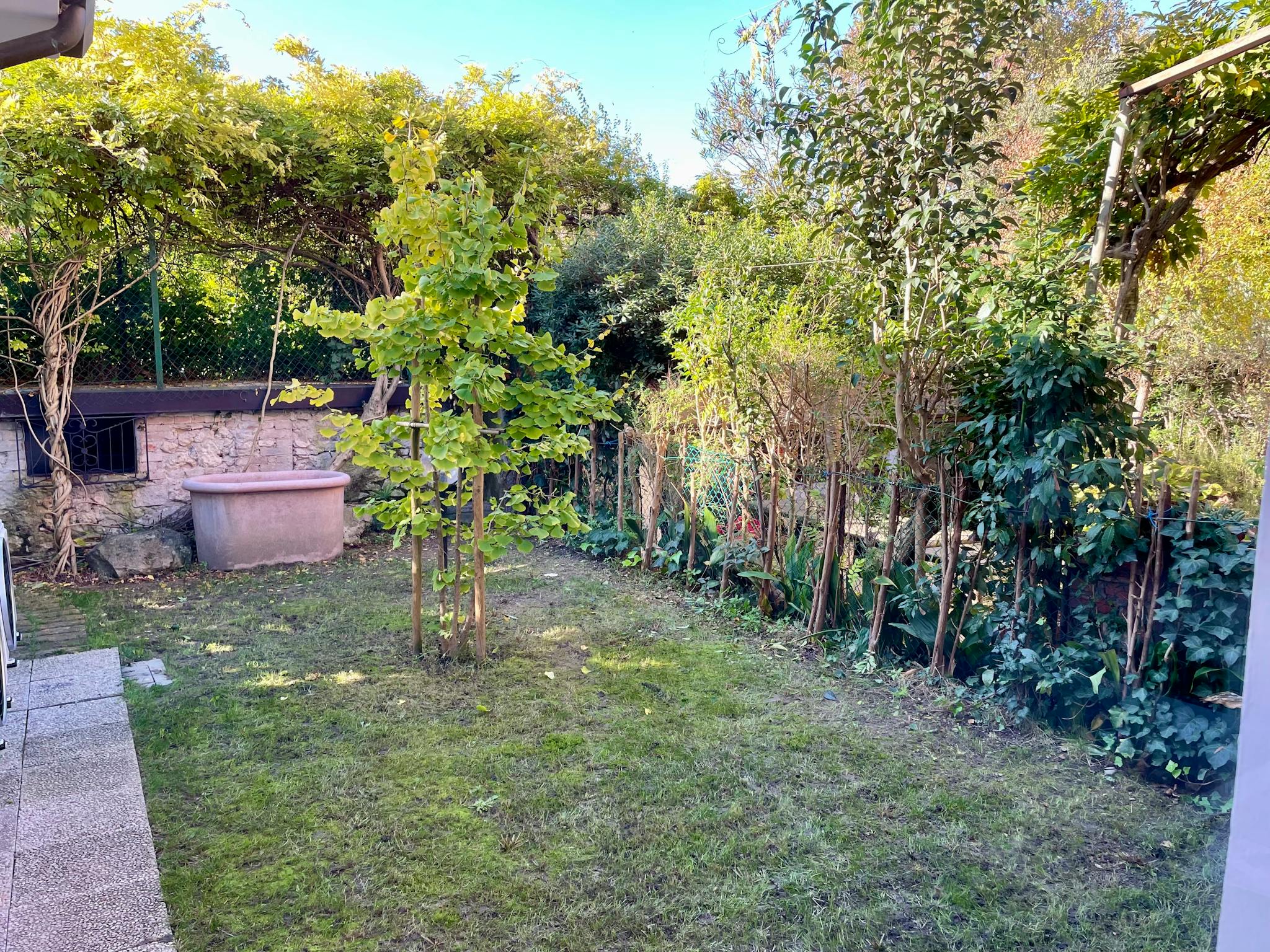 Foto annuncio 9