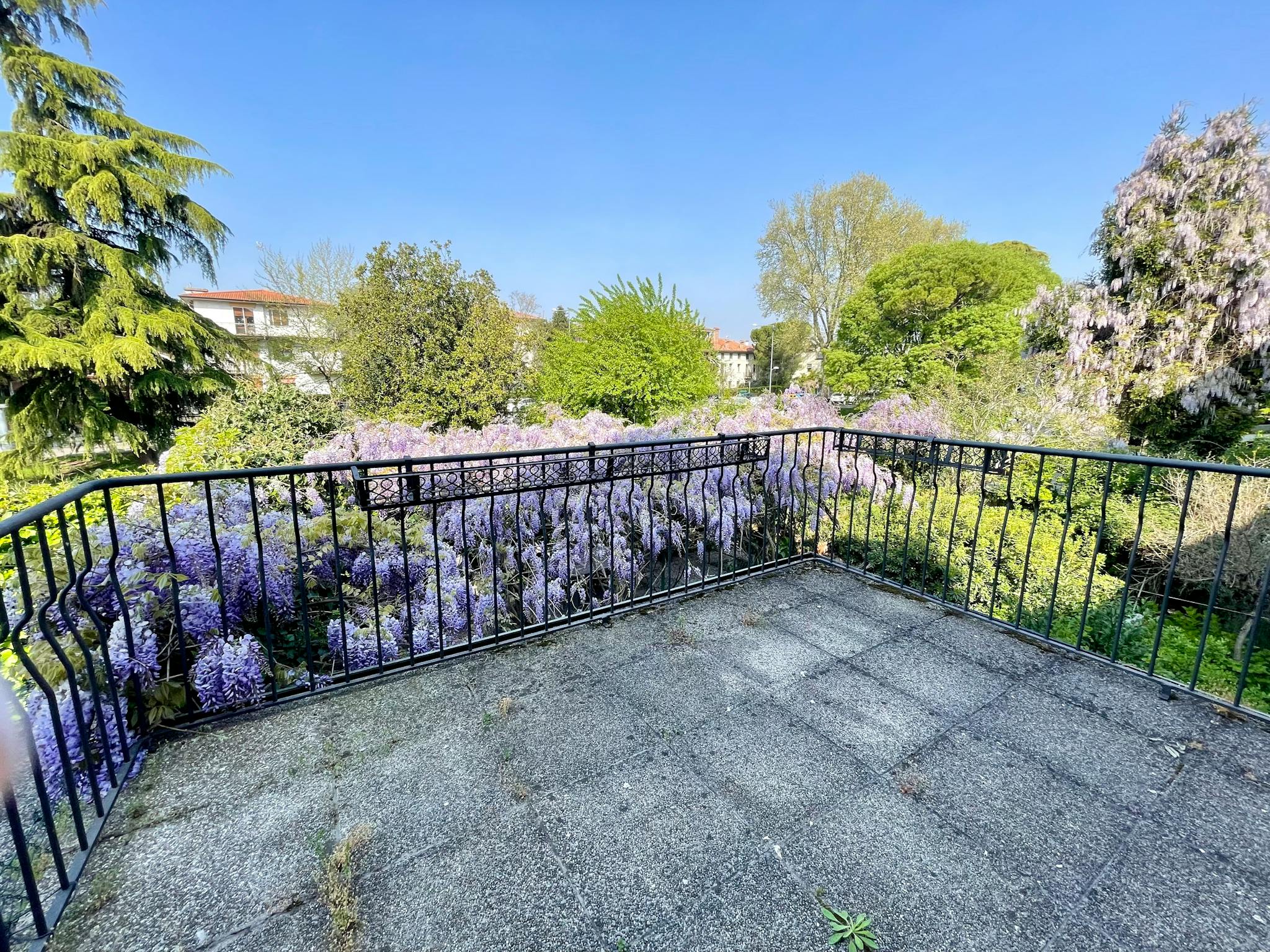 Foto annuncio 7