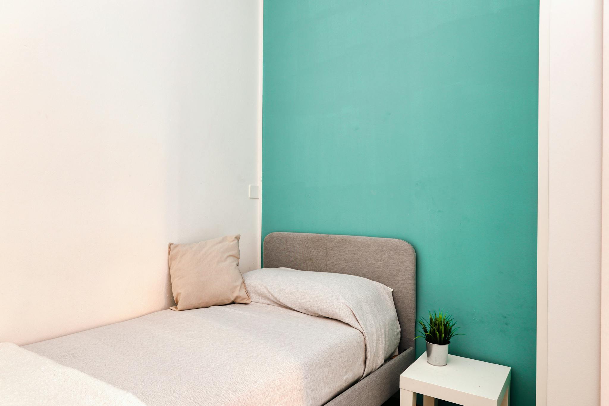 Immagine 1 di Camera in affitto  in Viale Giuseppe Barilli Quirico Filopanti a Bologna