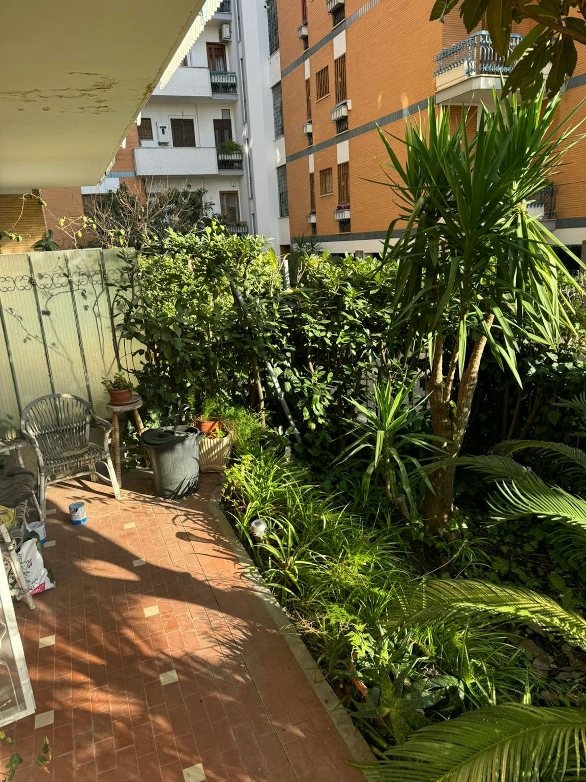 Foto annuncio 7