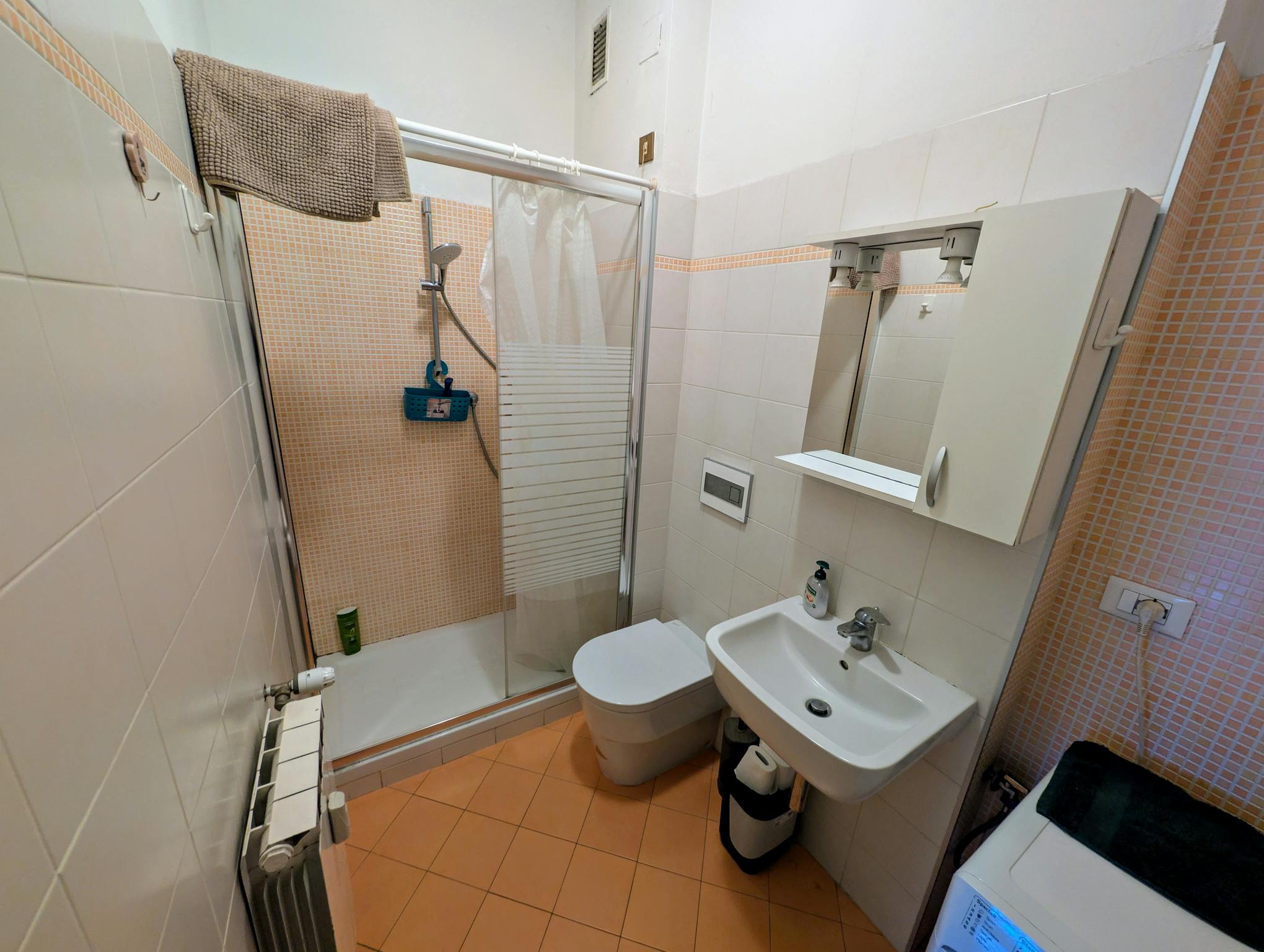 Foto annuncio 8