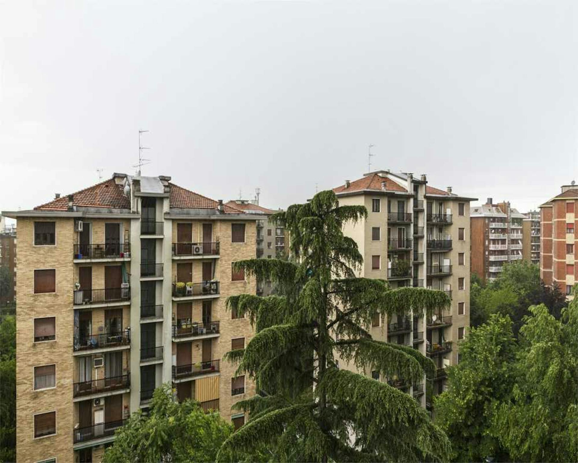 Foto annuncio 7
