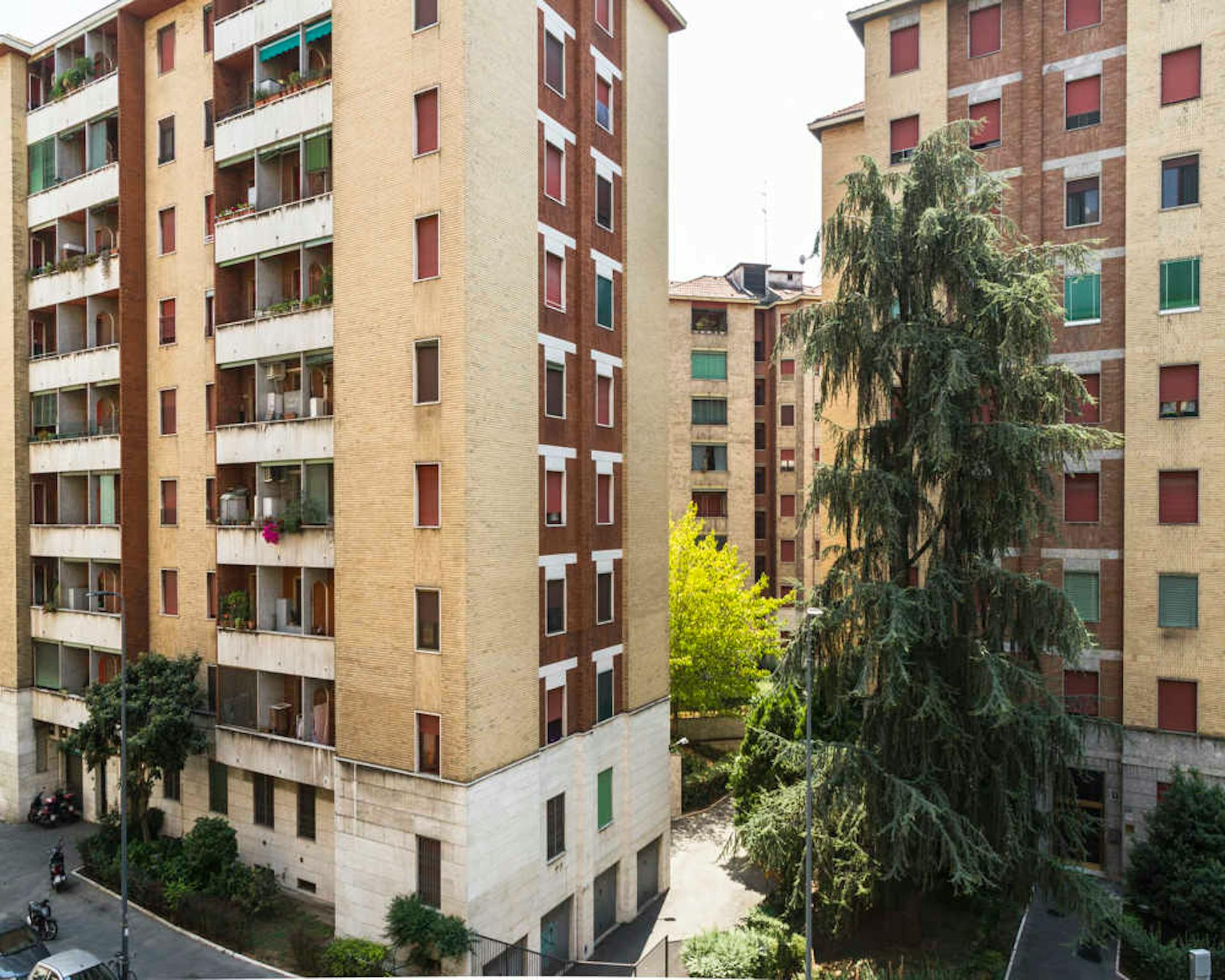 Foto annuncio 7