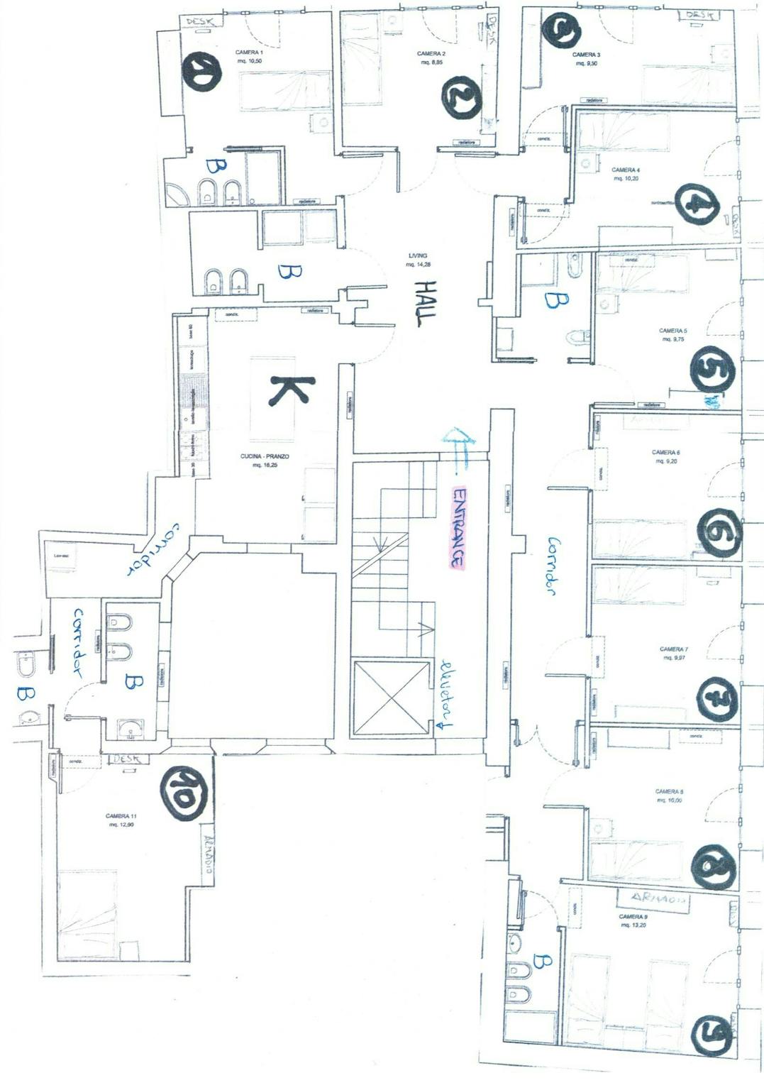 Immagine 2 di Camera condivisa in affitto  in Via Ugo Bassi a Bologna