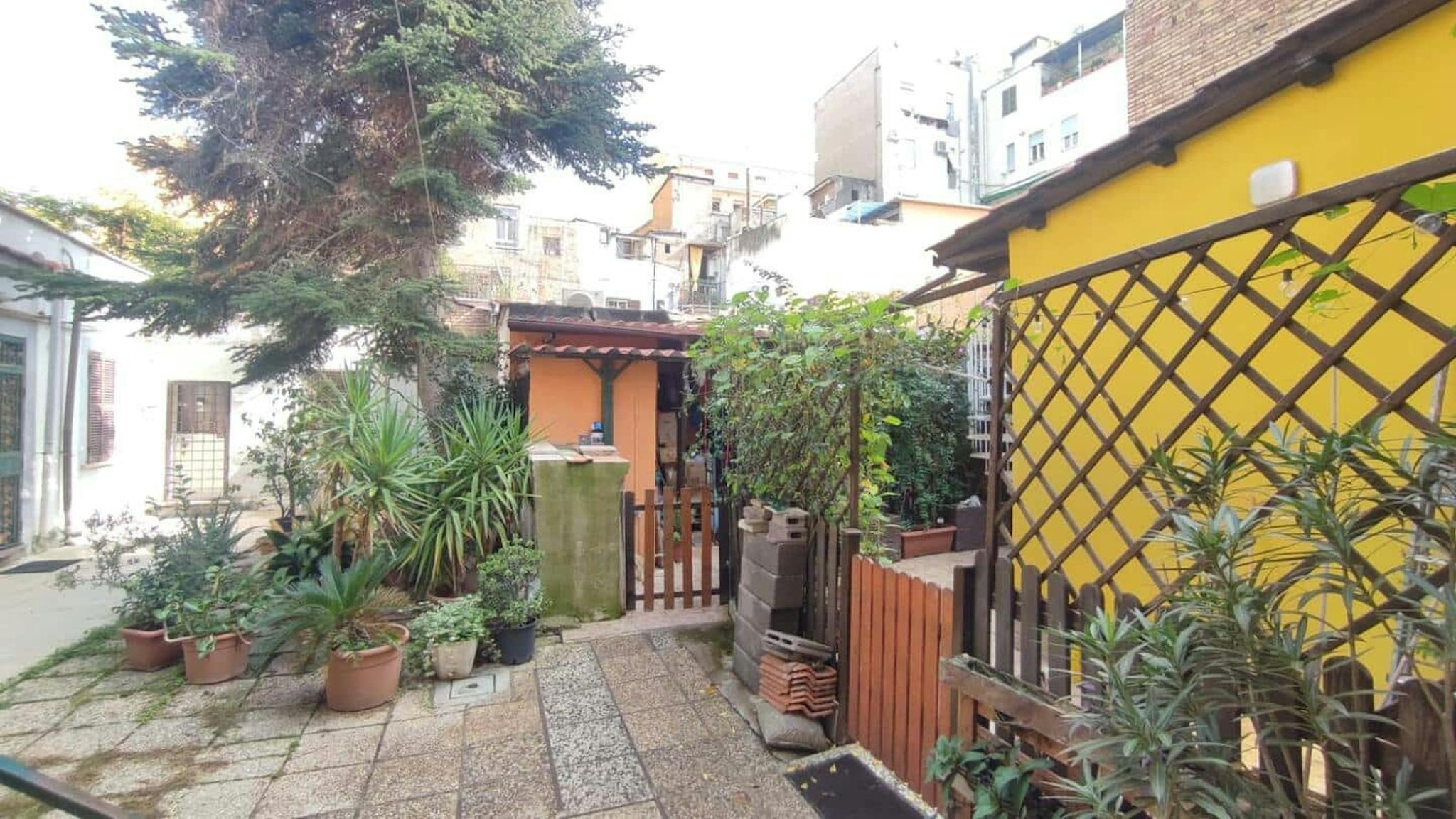 Foto annuncio 7