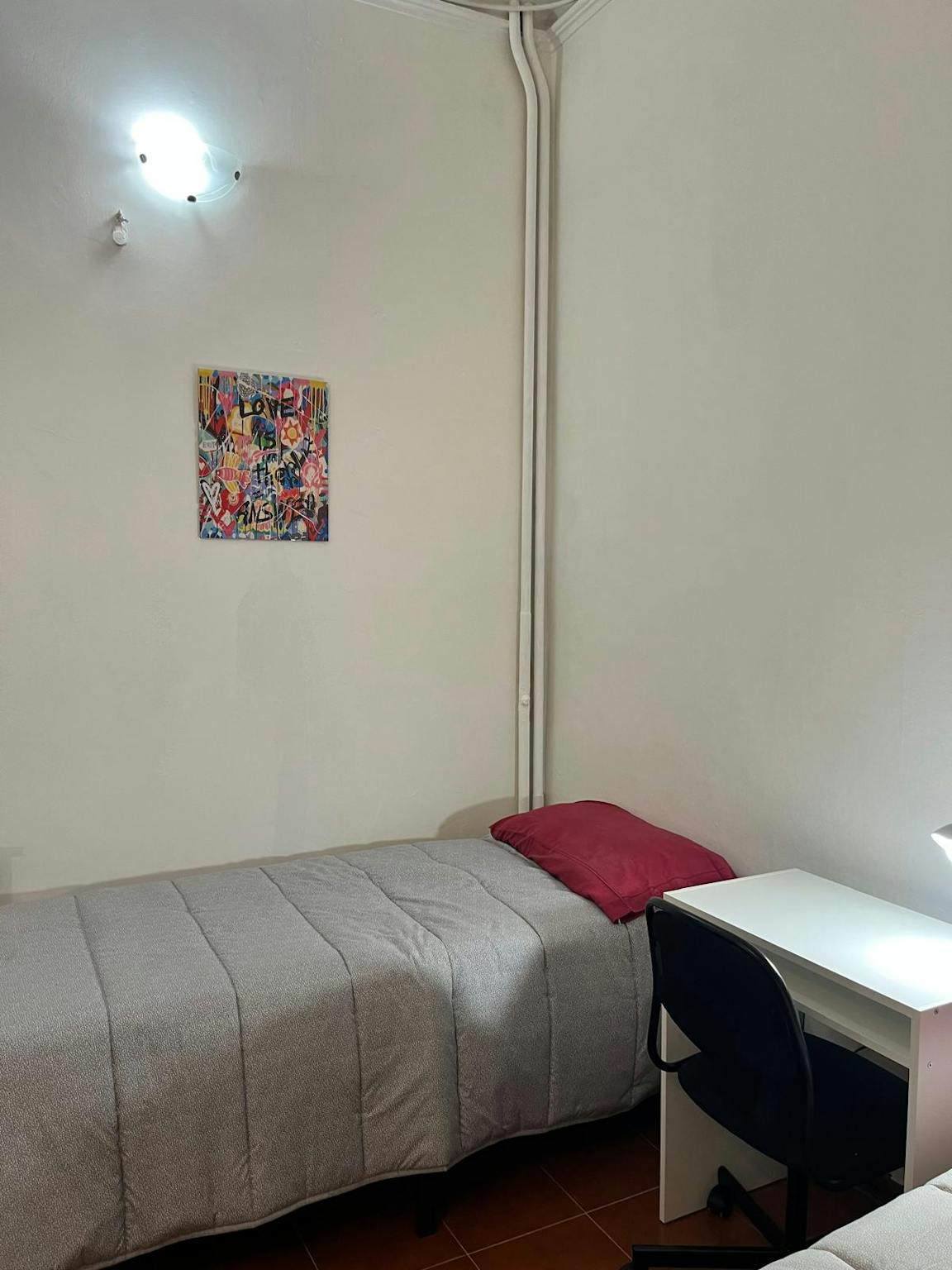 Foto annuncio 5