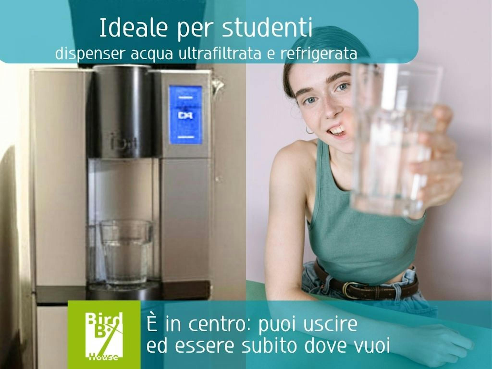 Foto annuncio 7