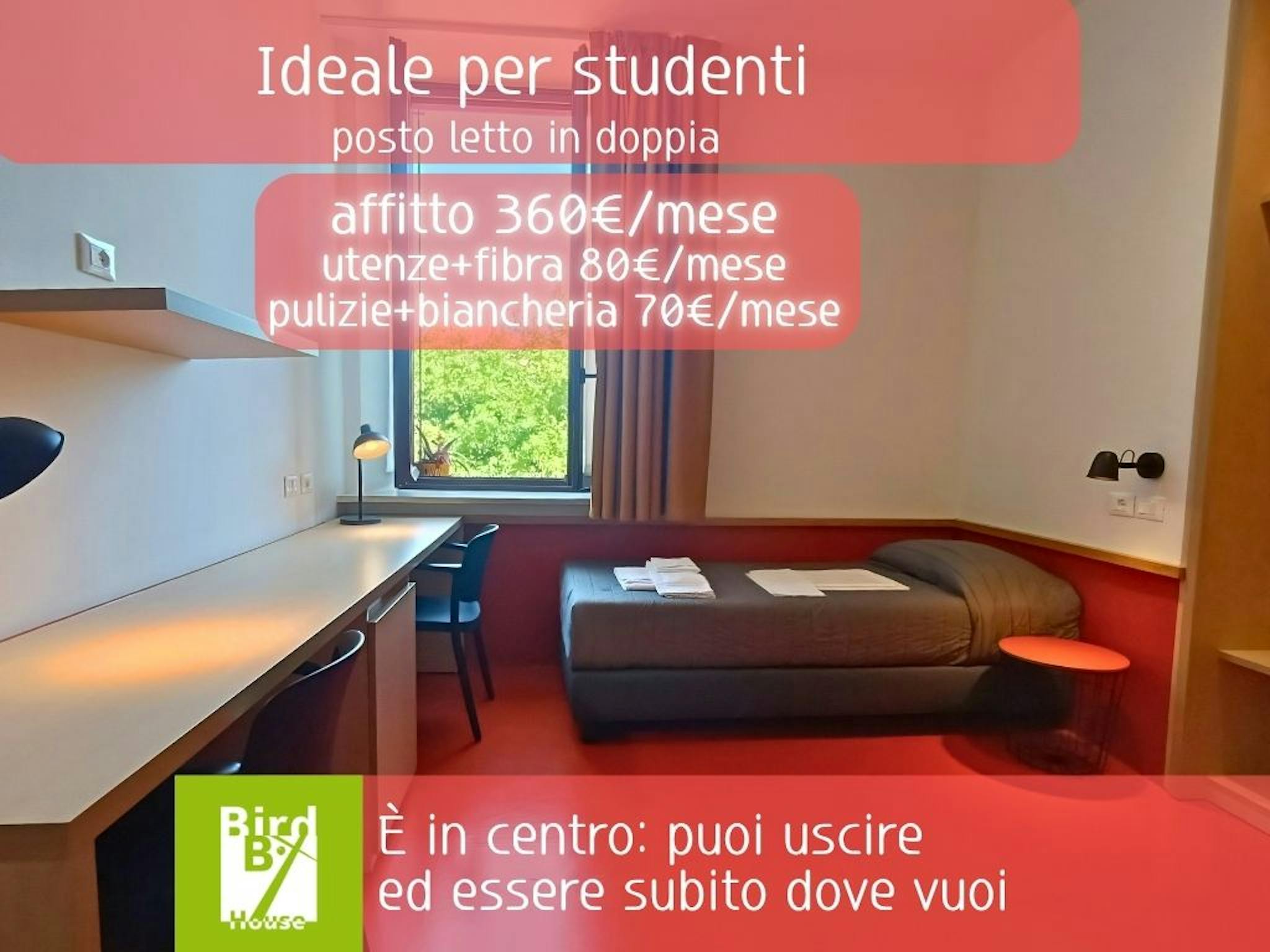 Foto annuncio 1
