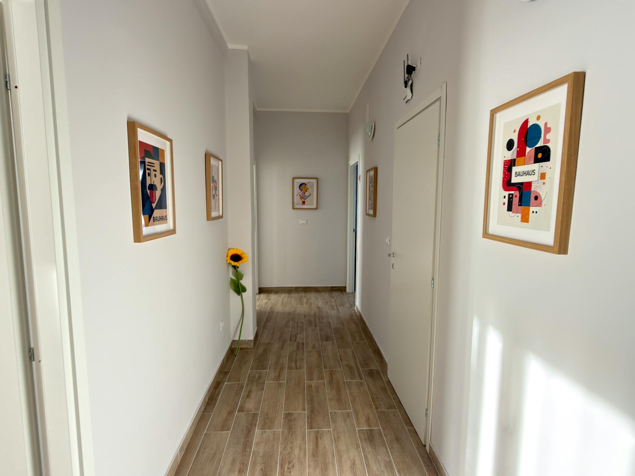 Foto annuncio 10