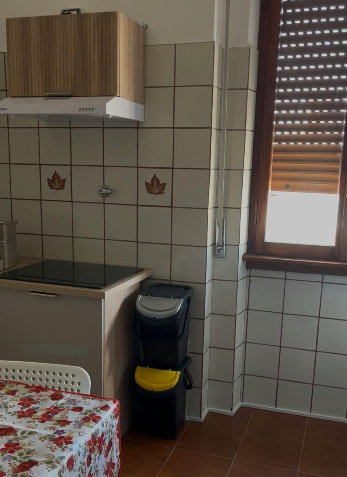 Foto annuncio 10