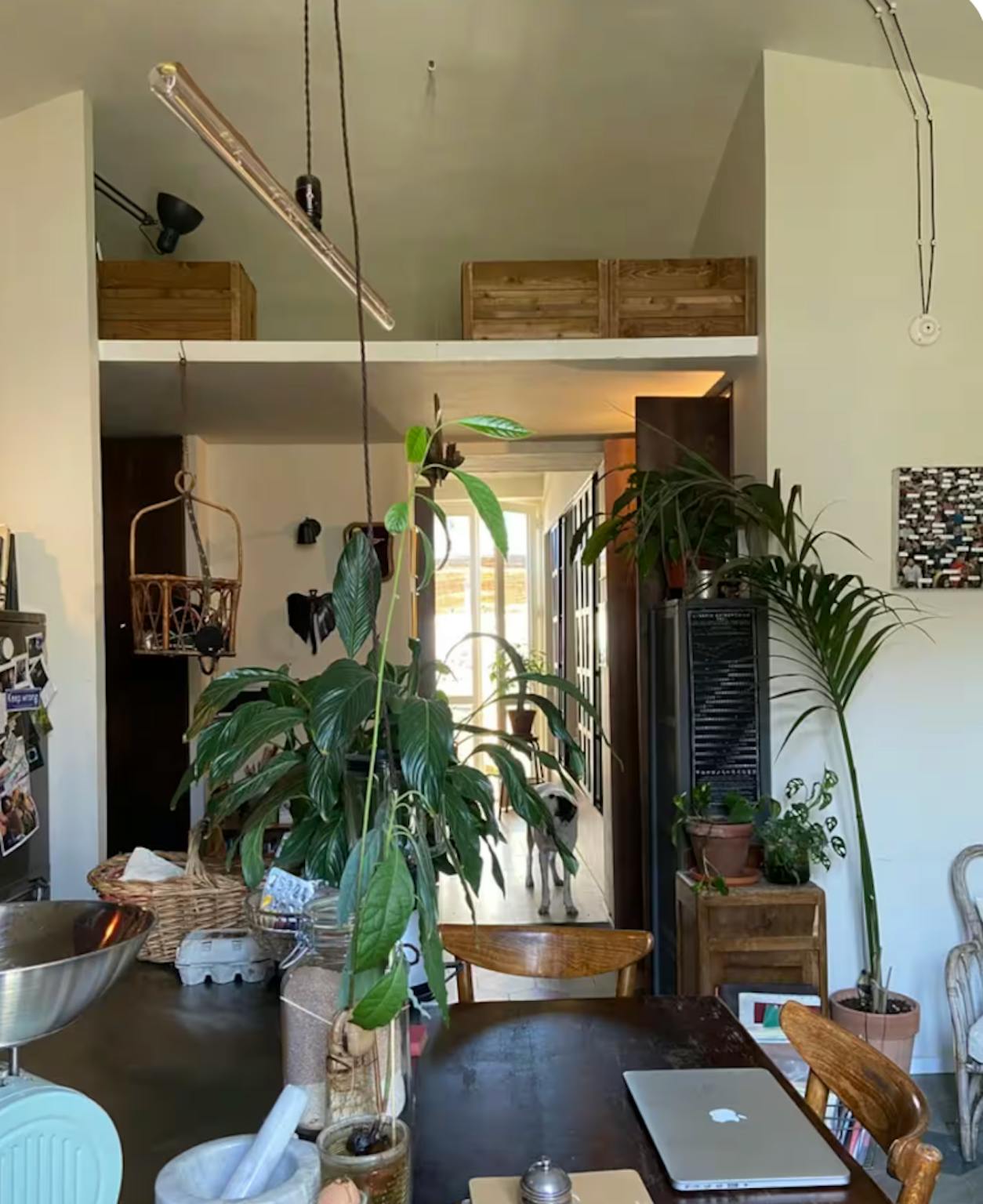 Foto annuncio 1