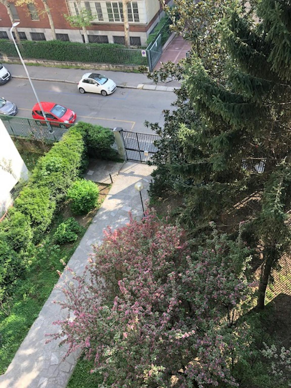 Foto annuncio 7