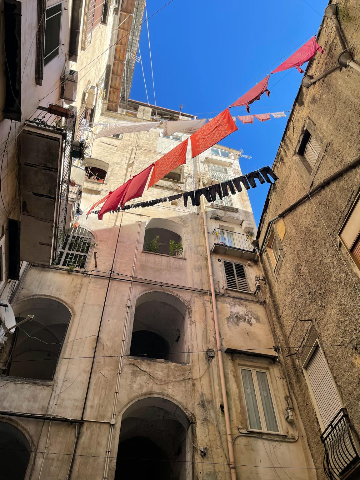 Foto annuncio 9
