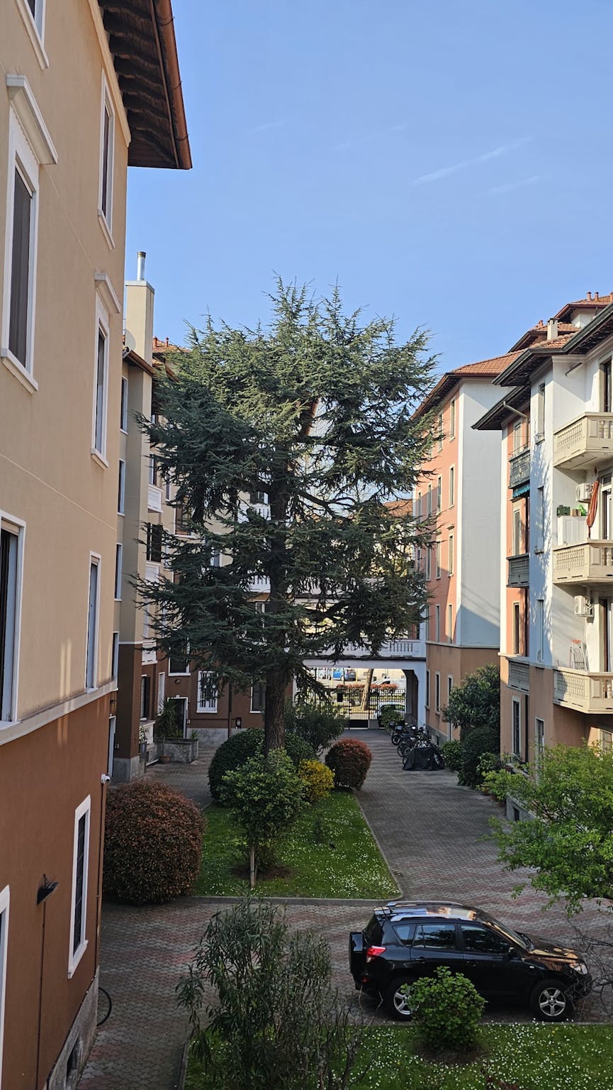 Foto annuncio 1