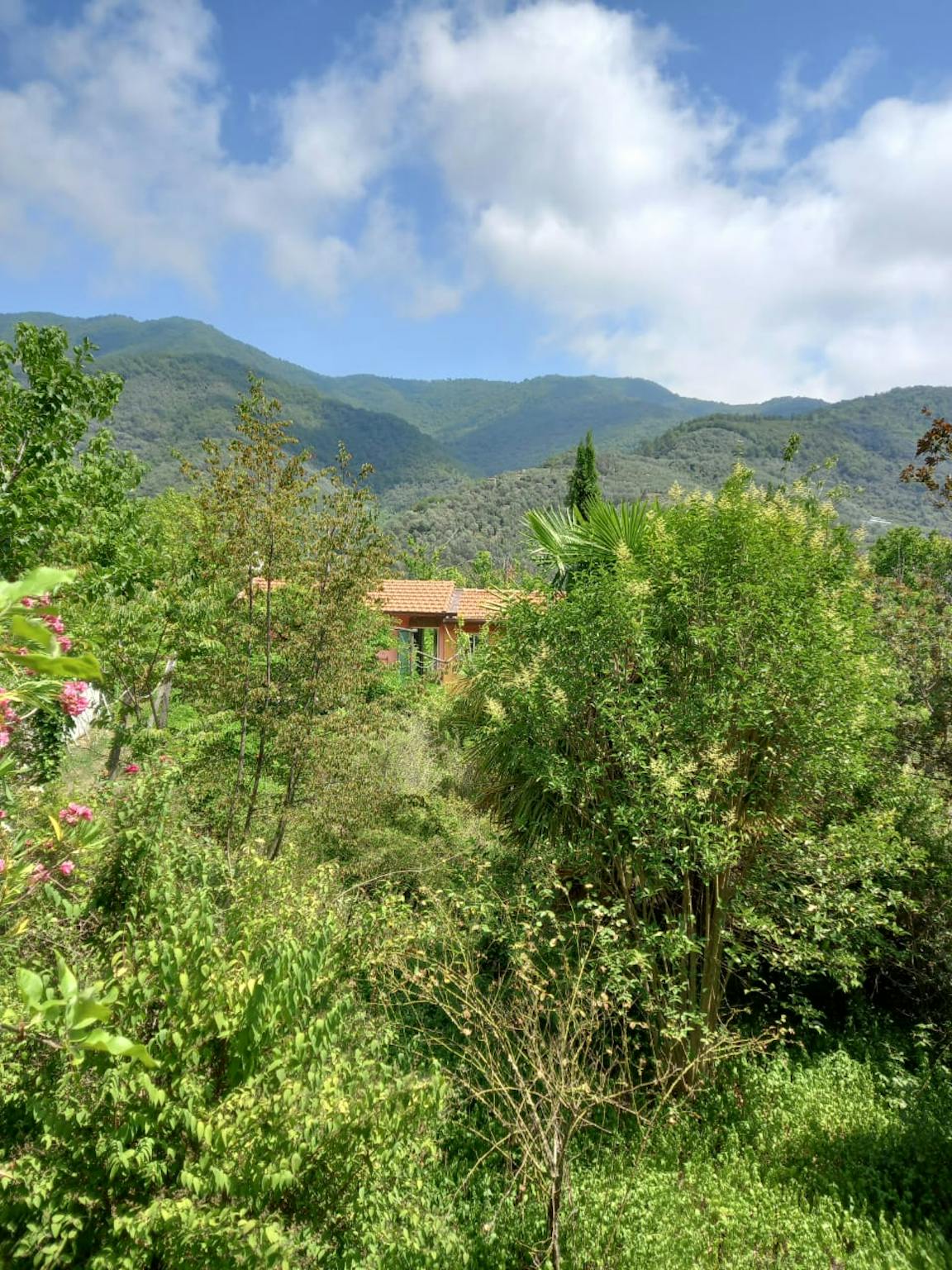 Foto annuncio 2