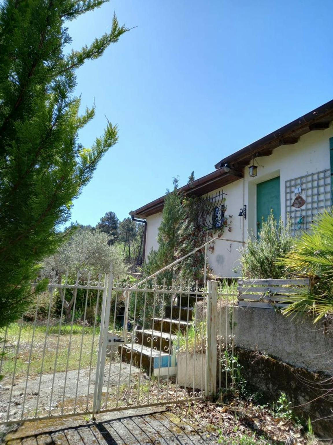 Foto annuncio 1