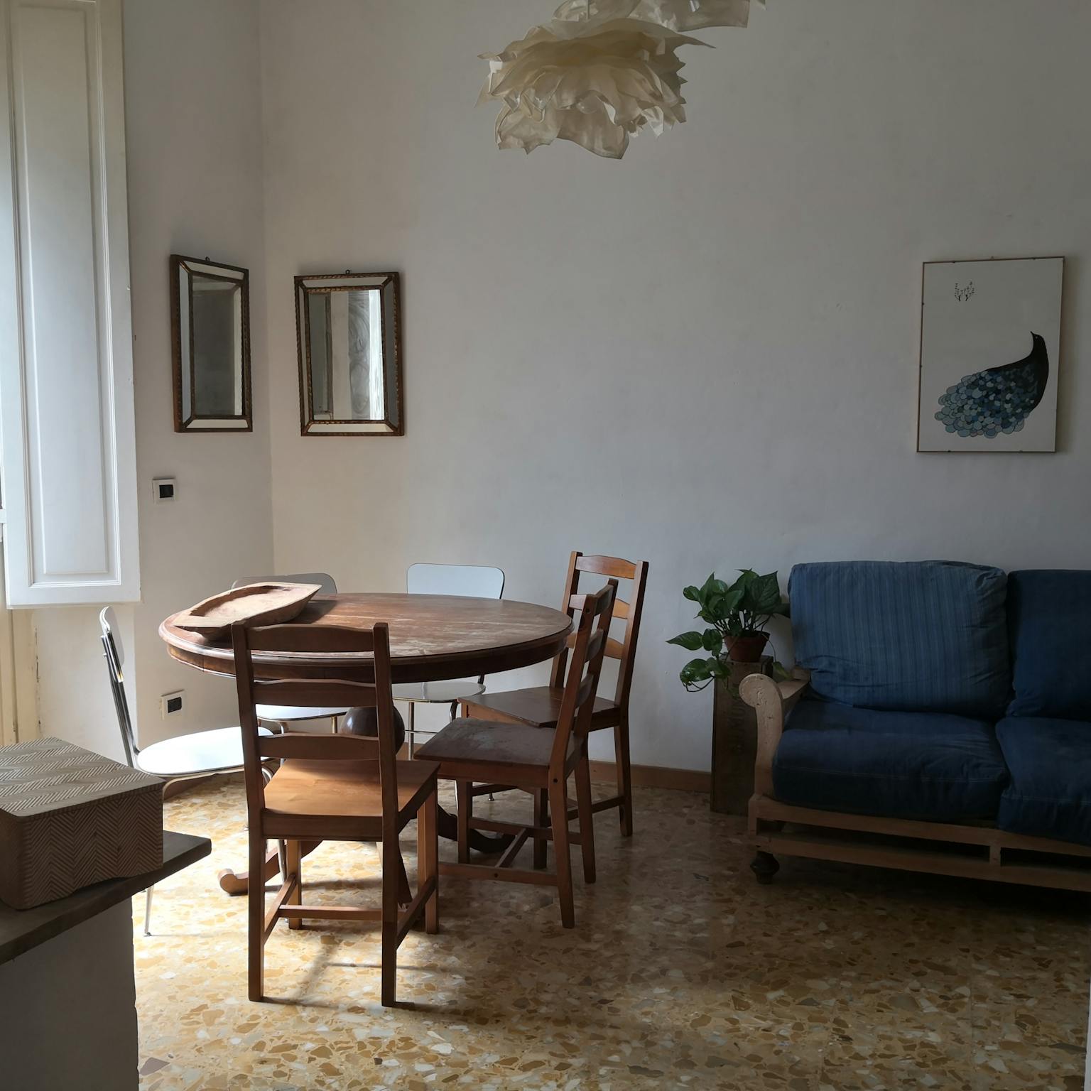 Foto annuncio 4