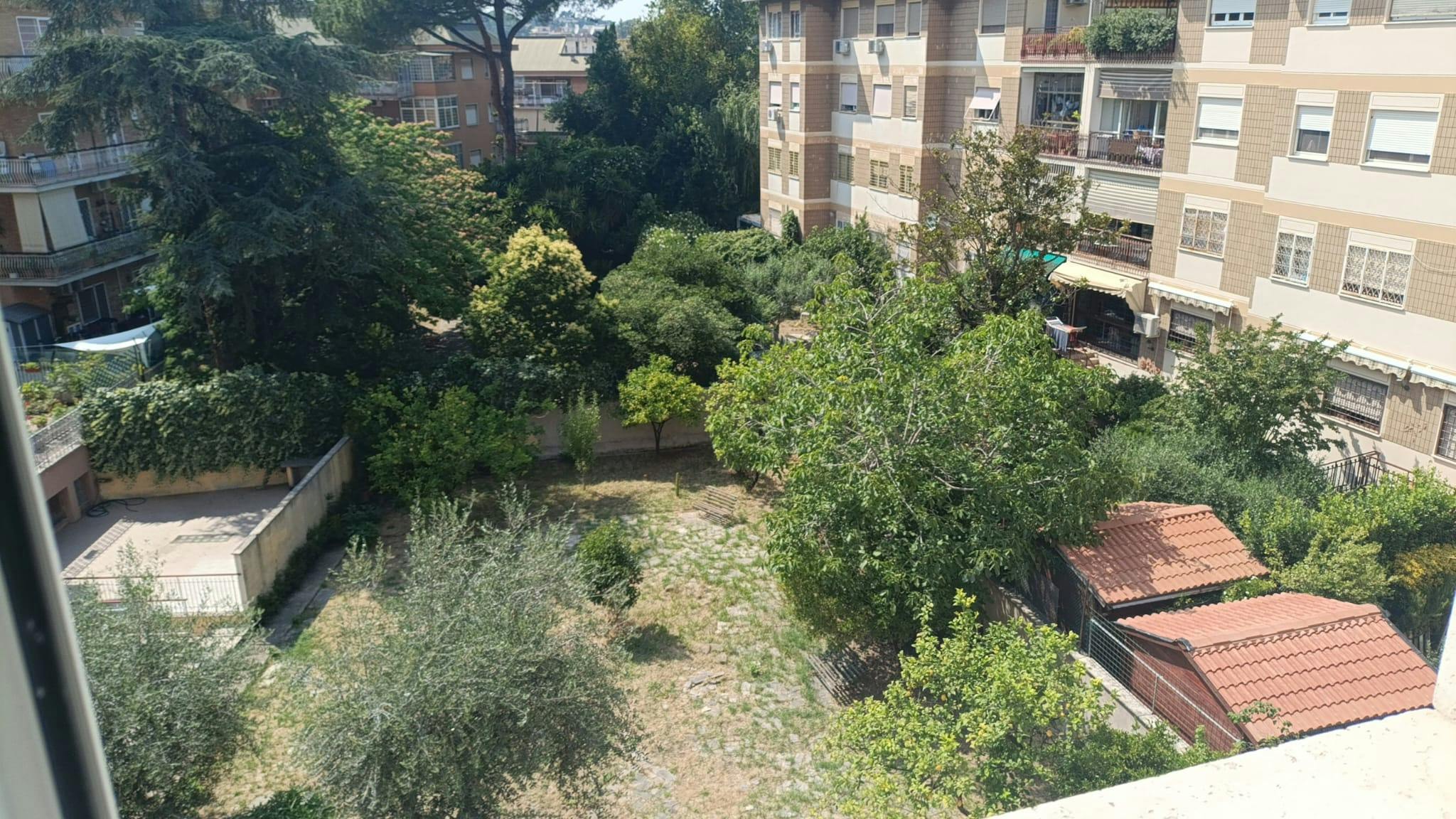 Foto annuncio 5
